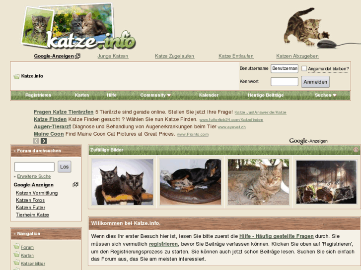www.katze.info