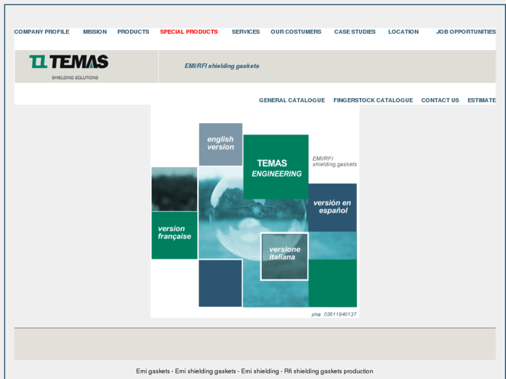 www.temas.it