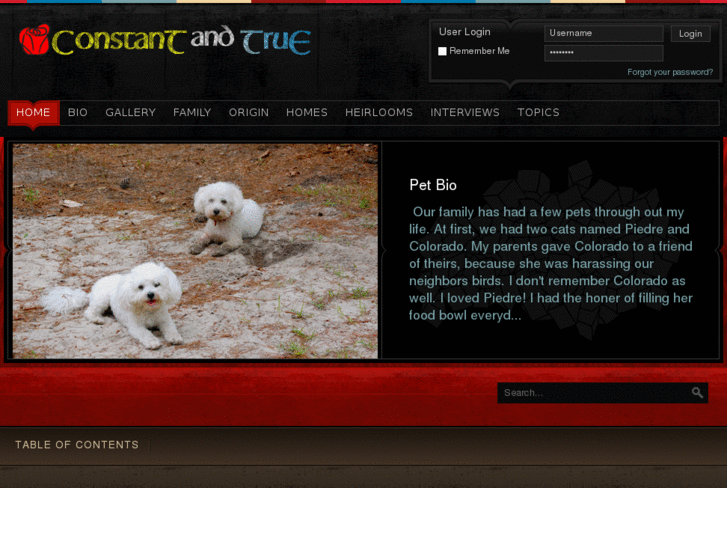 www.constantandtrue.com