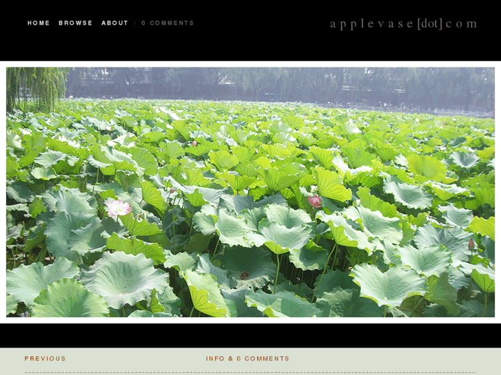 www.applevase.com