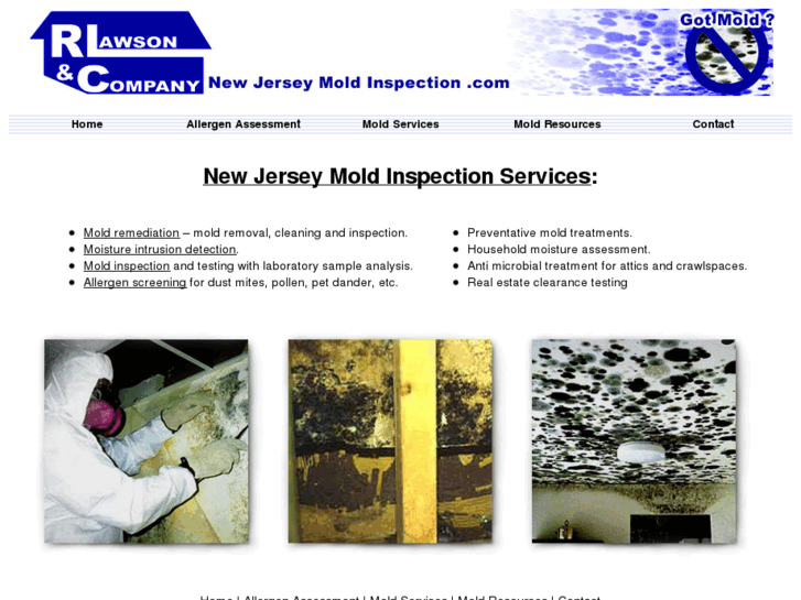 www.newjerseymoldinspection.com