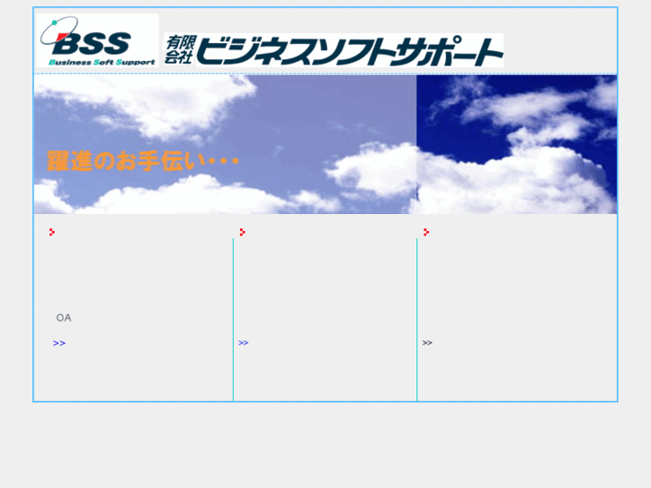 www.bss-inc.net