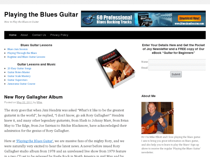 www.playingthebluesguitar.com
