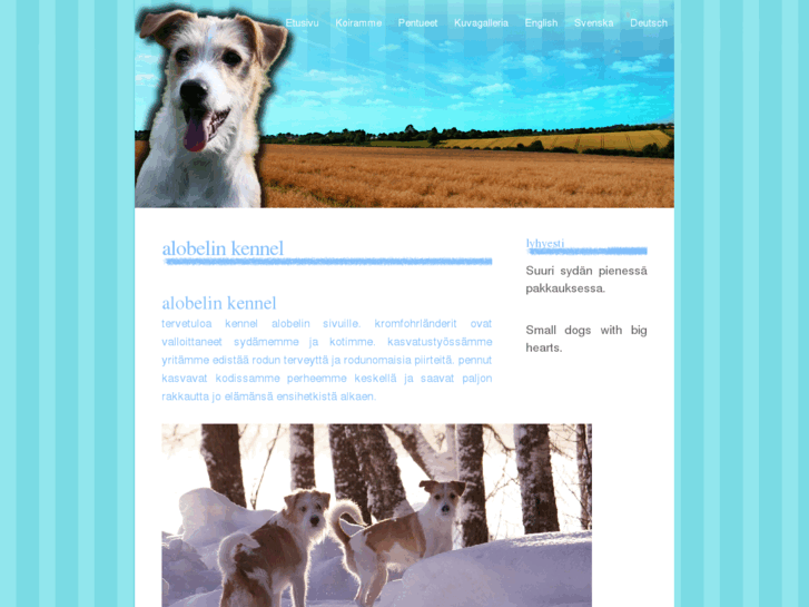 www.alobelinkennel.com