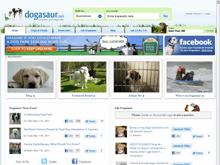 www.dogasaur.biz