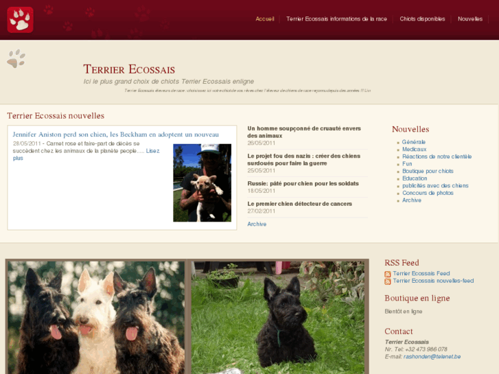 www.terrier-ecossais-enligne.fr