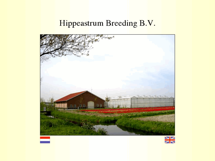 www.hippeastrumbreeding.com