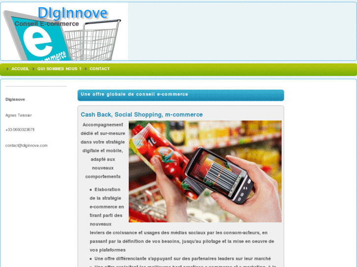 www.diginnove.com