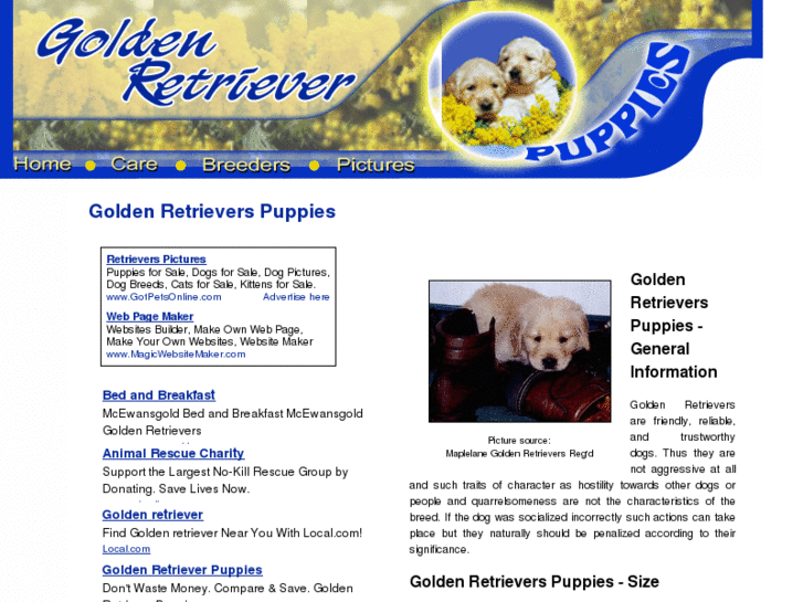 www.golden-retriever-puppies.org