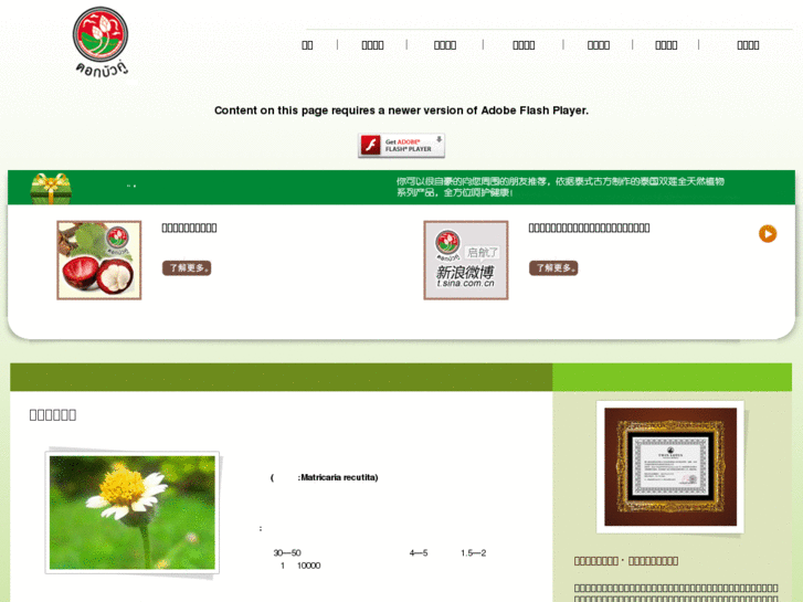 www.twinlotuschina.com
