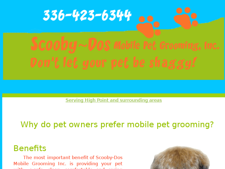 www.scooby-dos.com