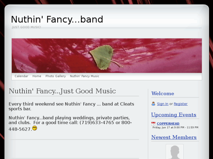 www.nuthinfancyrocknroll.com