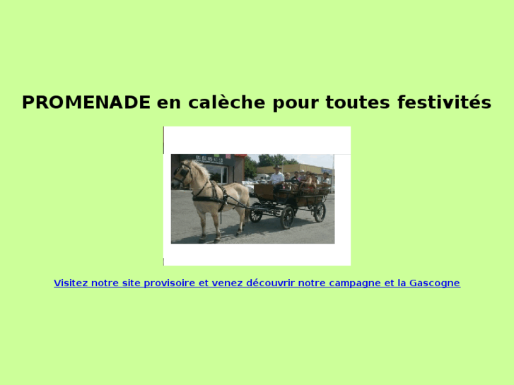 www.promenade-en-caleche.net