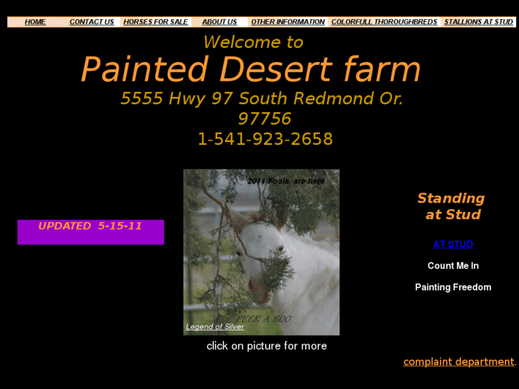 www.painteddesert.net