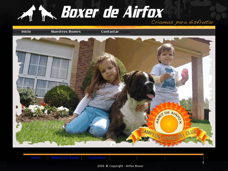 www.airfoxboxer.com