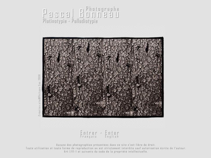 www.pascal-platine.com