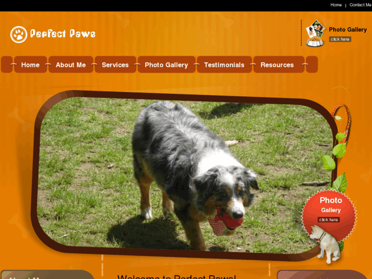 www.perfect-paws.com