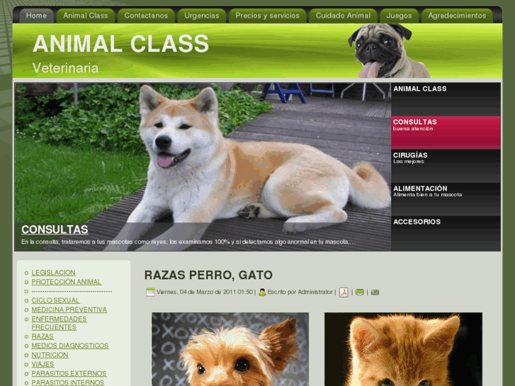 www.animalclass.net