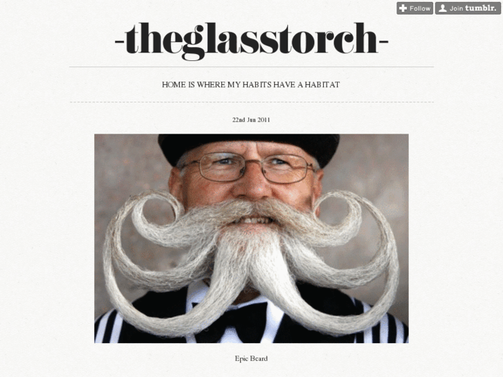 www.theglasstorch.com