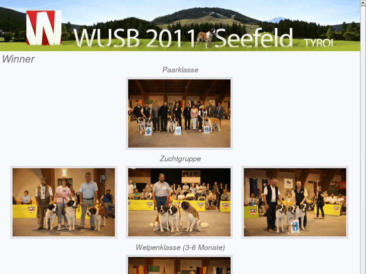 www.wusb2011.at