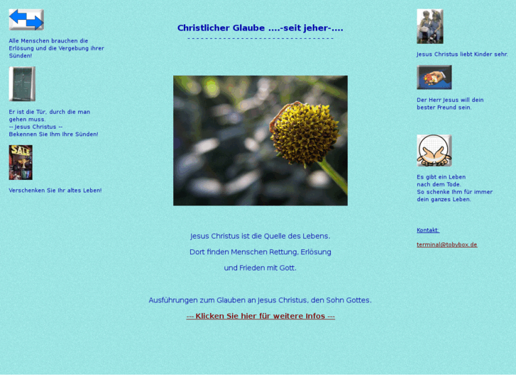 www.toebe.info