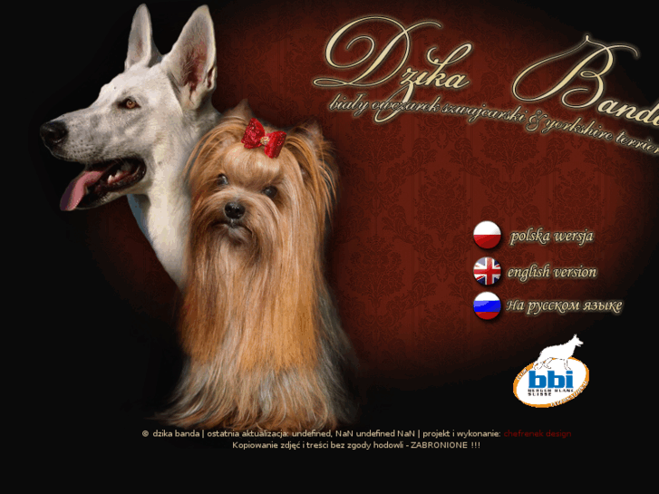 www.dzikabanda.com