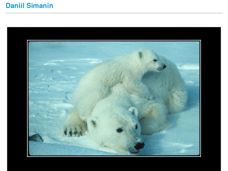 www.simanin.com