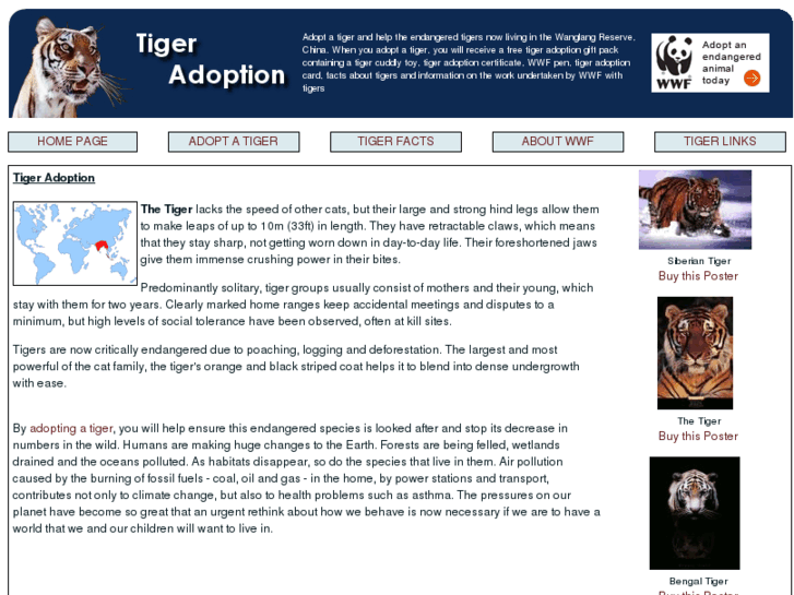 www.adoptatiger.co.uk