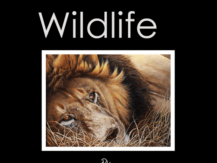 www.wildlife-art-rudi-kohl.de