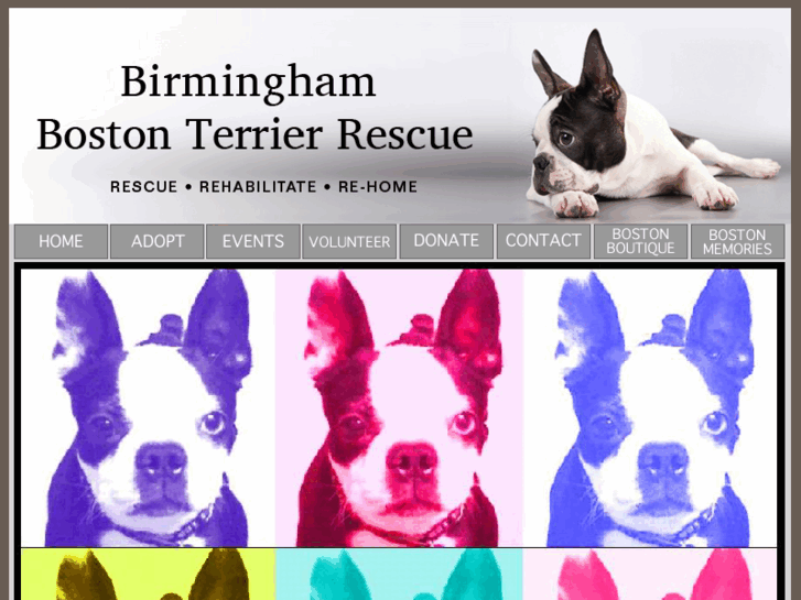 www.bhambtr.org