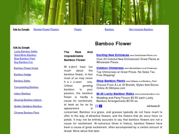 www.bambooflower.info