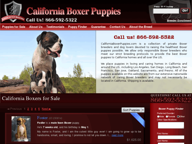 www.californiaboxerpuppies.com