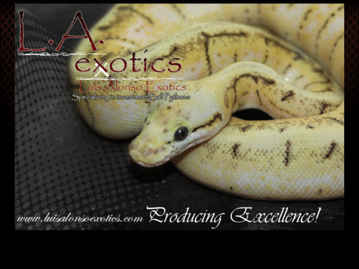 www.luisalonsoexotics.com