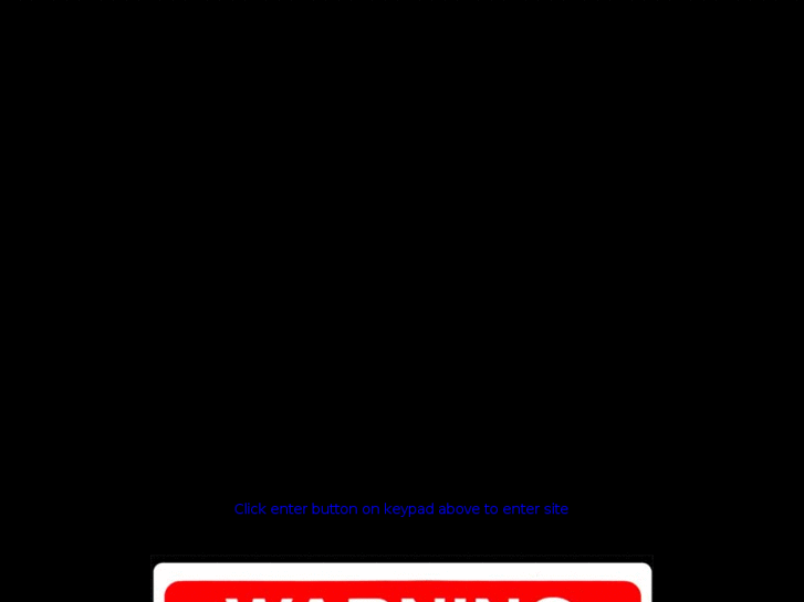 www.chandlersecuritysystems.com