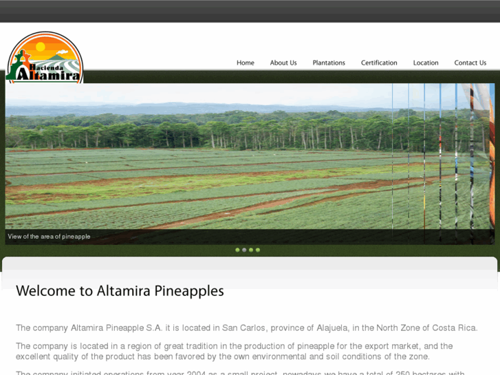 www.altamirapineapple.com