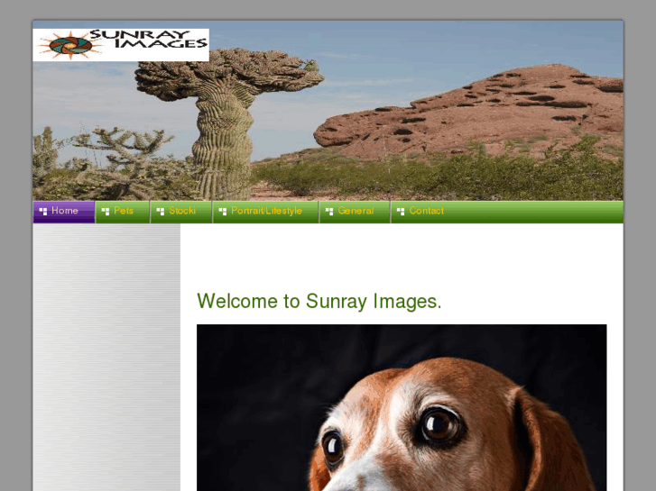 www.sunrayaz.com