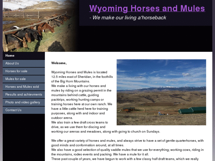 www.wyominghorsesandmules.net