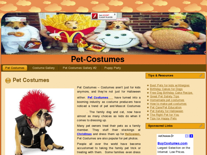 www.pet-costumes.biz