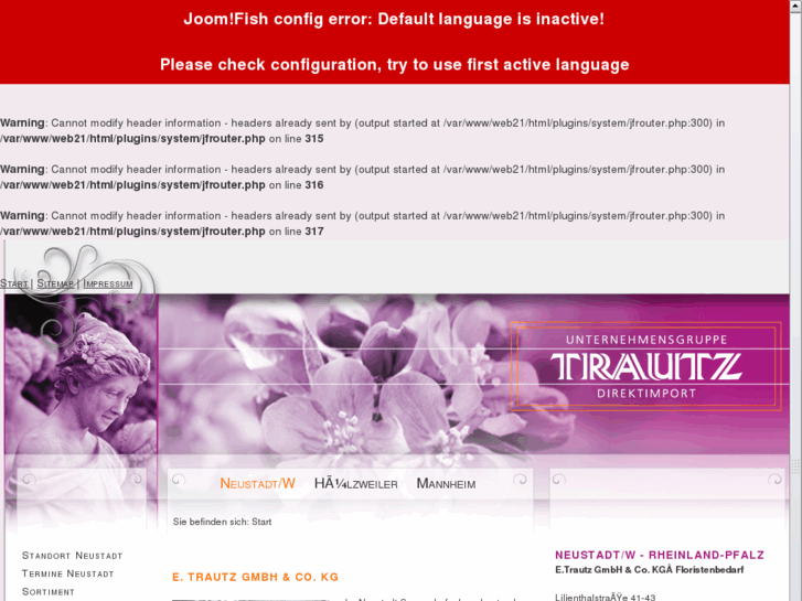 www.china-direkt.net