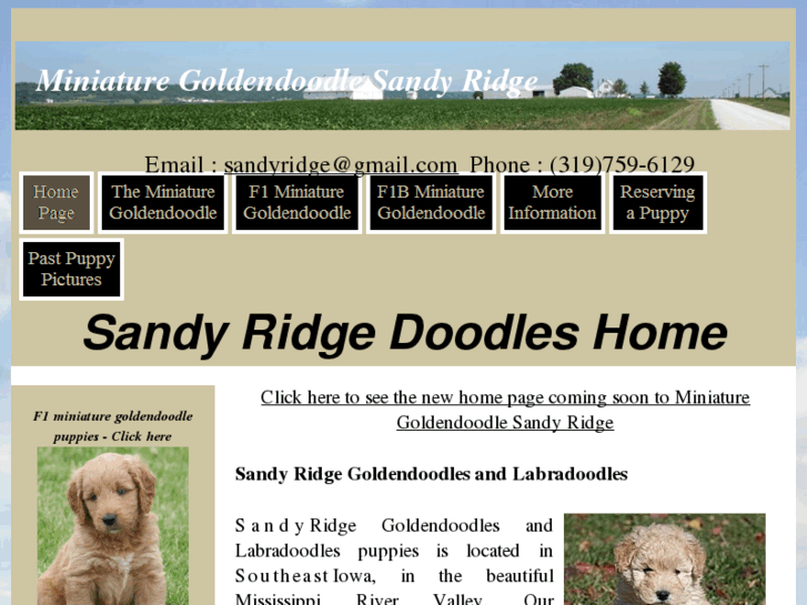 www.iowapuppy.com