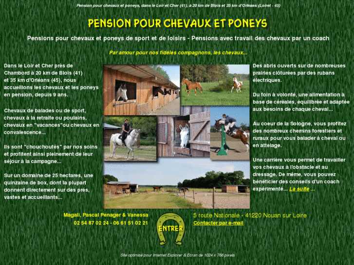www.cheval-pension-41.com