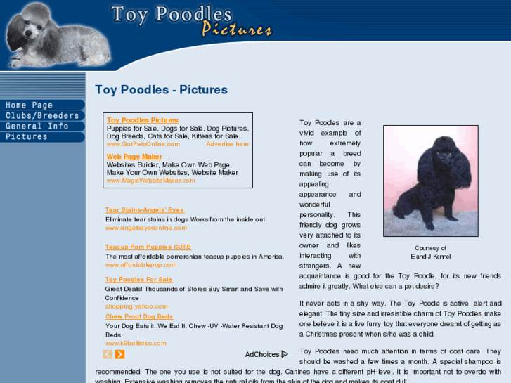 www.toy-poodles-pictures.com