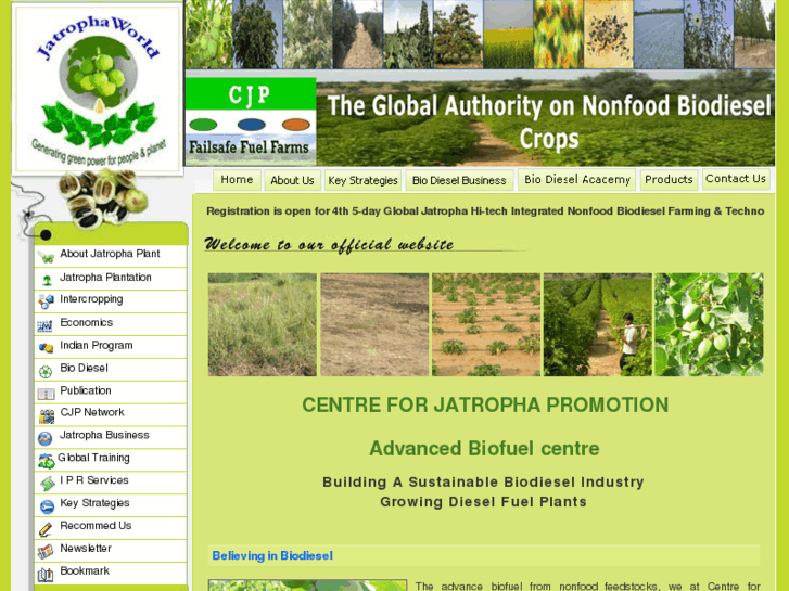 www.jatrophabiodiesel.org