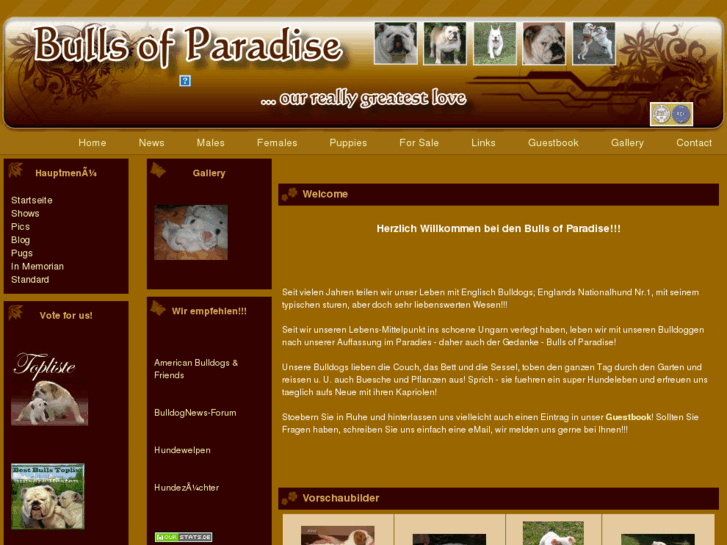 www.englishbulls.eu
