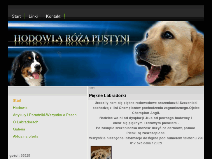 www.rozapustyni.com