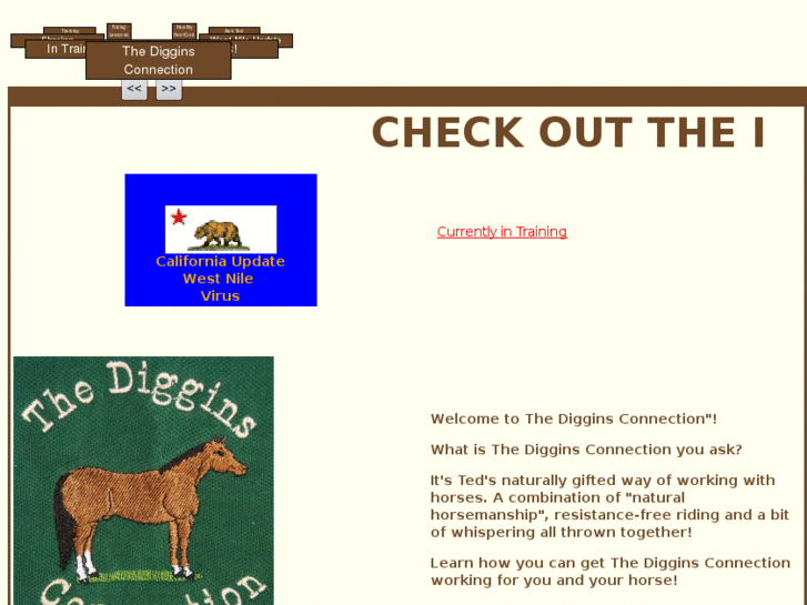 www.teddiggins.com