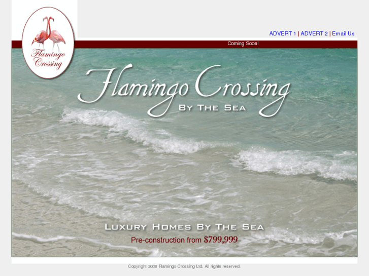 www.flamingocrossingbythesea.com