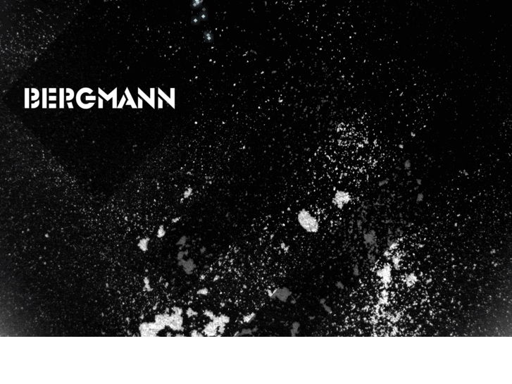 www.brettbergmann.com