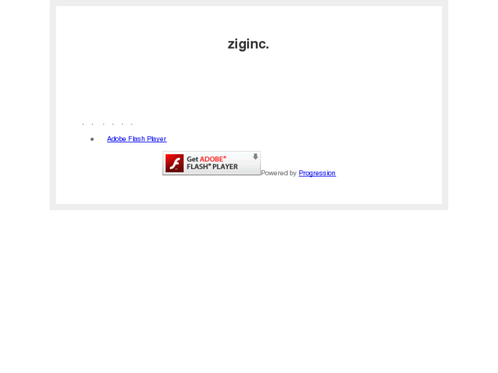 www.ziginc.co.jp