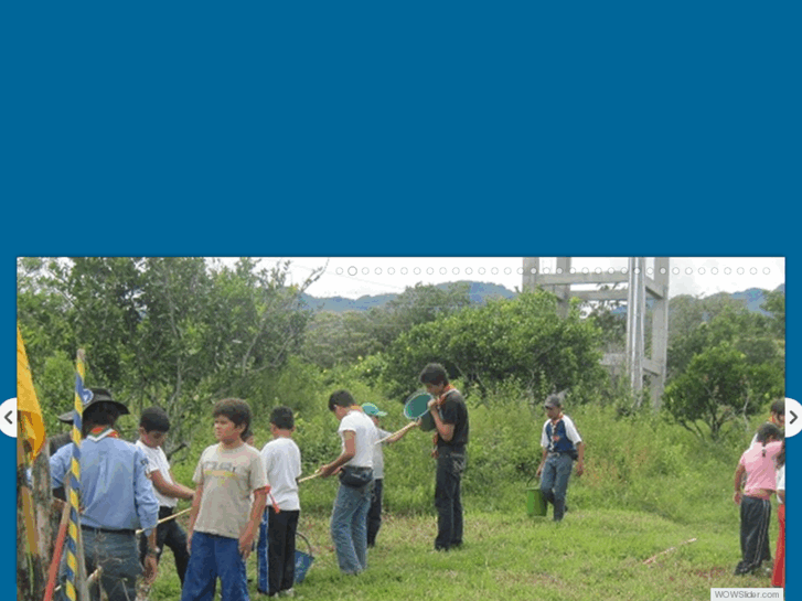www.scoutsdelhuila.org
